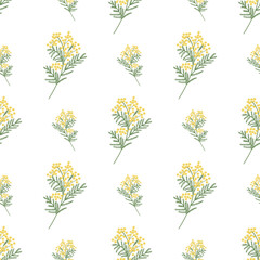 Seamless spring pattern with mimosa branches.