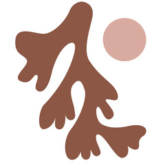  minimalist floral vector illustration