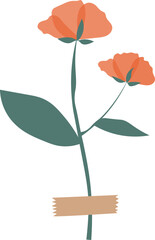 Plant Illustration