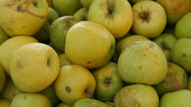 Image of fresh apples on the counter in supermarket