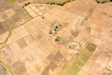 Aerial drone of agricultural land and rice fields. Rural landscape. Sri Lanka.