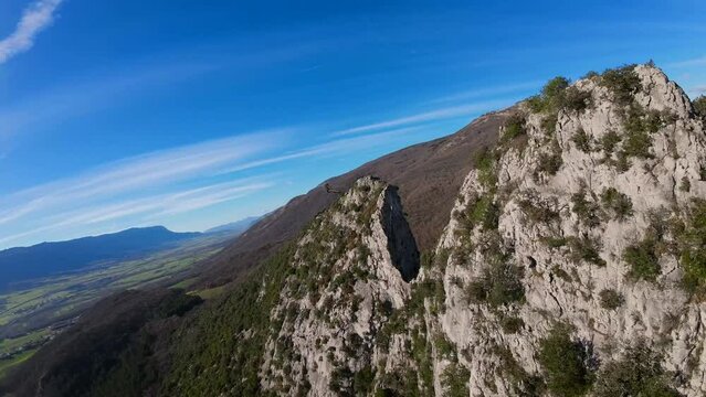 Large bird maneuvering in the air. Flying over a mountain.