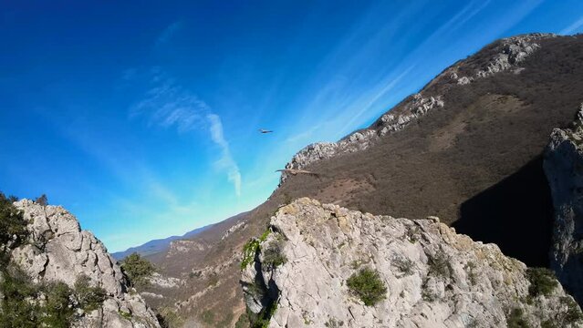 Large birds gliding and maneuvering in the blue sky, they fly in circles over a mountain. Image taken with a FPV drone. Cinematic in slow motion.