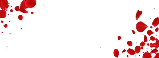 Delicate Petal Fly Vector Panoramic White