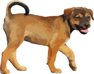 Cute of puppy standing isolated on transparent background. Vector illustration png file