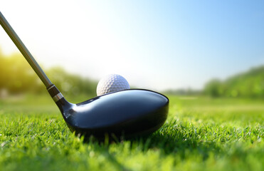 Back view of  golf ball on tee with golf drivers at golf course.