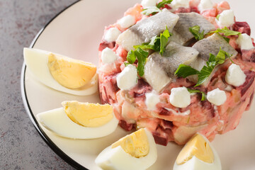 Portion of scandinavian vegetable salad with herring, beetroot, apple, potato and onion close-up in a plate on the table. Horizontal