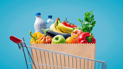 Shopping cart with fresh groceries