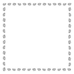 カモミールのフレーム　1c　正方形