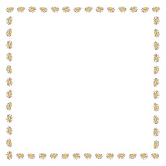 カモミールのフレーム　カラー　正方形