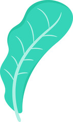 decorative leaf and plant illustration