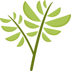 decorative leaf and plant illustration