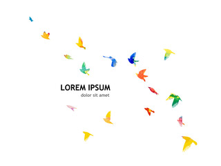 Abstract colored flying birds. Mixed media. Vector illustration © Мария Неноглядова