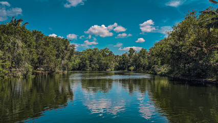 Fototapeta premium lake in the forest