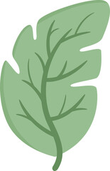leaf and plant illustration