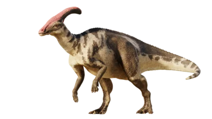 Fotobehang Dinosaurussen Parasaurolophus, dinosaur from Late Cretaceous,   isolated on transparent background   © dottedyeti