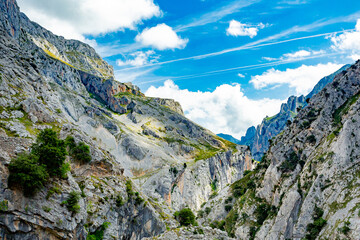 Fototapeta premium Ruta del Cares in Picos de Europa National Park, Spain