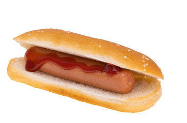 hot dog isolated