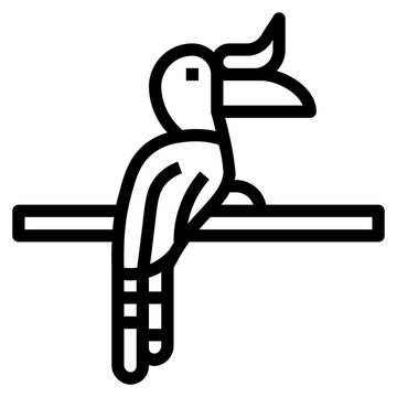 black and white hornbill perched on branch clip art preview