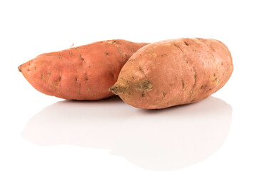 Sweet potato on the white background - 571148331