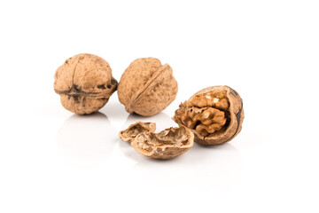 Walnut nut on white
