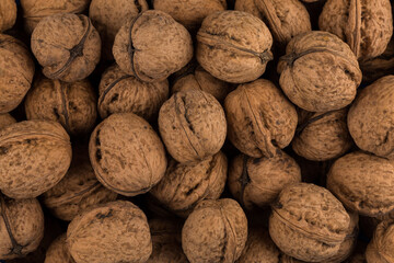 Walnut nut closeup