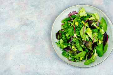 Fresh salad with mixed greens, space for text