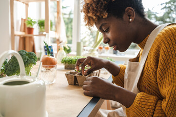 Young woman planting sprouted lentil seeds in container at home