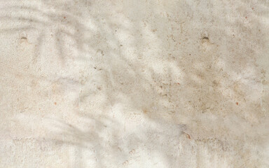 Close up of texture of old, weathered, eroded white stone concrete wall in beautiful foliage...