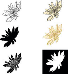 set of hand drawn flowers. chrysanthemum set. Flowers line art. Chrysanthemum bud vector. 