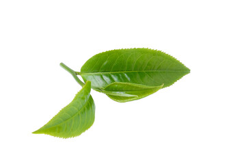 Fototapeta na wymiar green tea isolated on transparent png