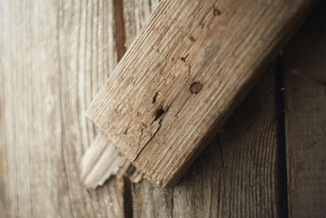 A wooden door with problematic weathered panels.