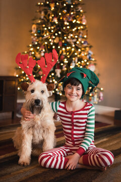 Boy in elf hat and dog in antlers sitting in front of Christmas tree.