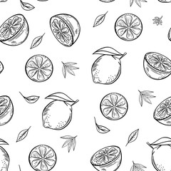 Vector hand drawn lime and lemon seamless pattern. Tropical summer citrus fruit engraved style background