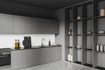 Grey kitchen interior with cooking area and shelf with decor