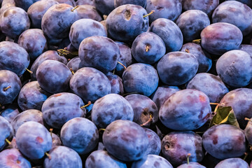 Ripe plums in market for sale