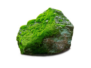 stone covered with moss isolated on white background