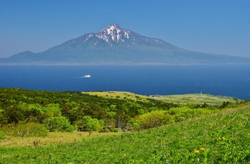 礼文島ハイキング