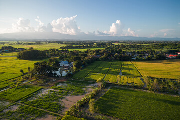 Aerial view of drone flying above rice field and farming in Chiang Rai province, Thailand - 571162367
