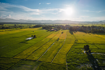 Aerial view of drone flying above rice field and farming in Chiang Rai province, Thailand