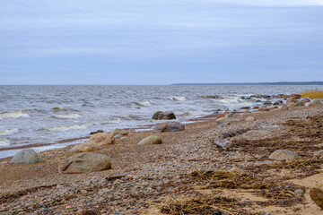 A beautiful spring day on the shore of the Baltic Sea. Latvia.