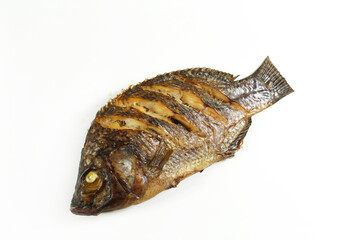 Grilled tilapia fish, isolate on white background.