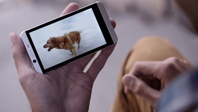 Man using smartphone to watch slow motion video of a dog on the beach
