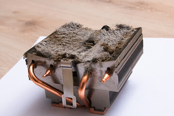 Dust on the fan in the computer
