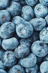 Selected blueberries with water drops close-up. Blue background.