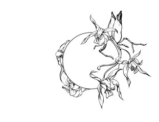 Hand drawn vector ink orchid flowers and branches, monochrome, detailed outline. Circle wreath composition. Isolated on white background. Design for wall art, wedding, print, tattoo, cover, card.