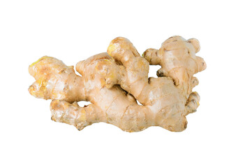 ginger on transparent png