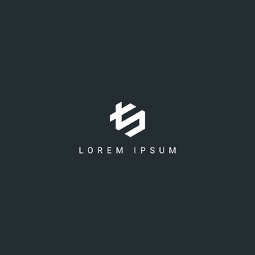 Minimal creative unique letter TS ST logo monogram icon design vector element.