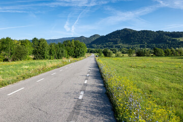 Fototapeta na wymiar Countryside Road In Northern Slovenia