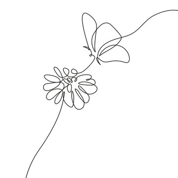 Butterfly on Flower Continuous One Line Drawing. Flower and Butterfly Line Art Sketch Isolated on White Background. Botanical Abstract Simple Illustration for Minimalist Design. Vector EPS 10. 